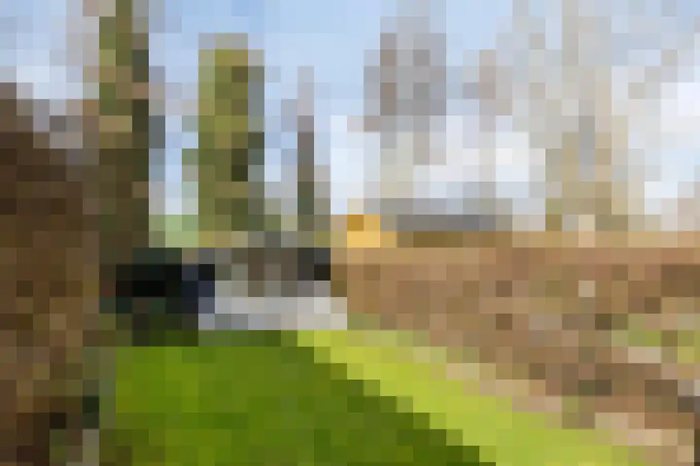 Deventerweg 115 Zutphen thumbnail 5