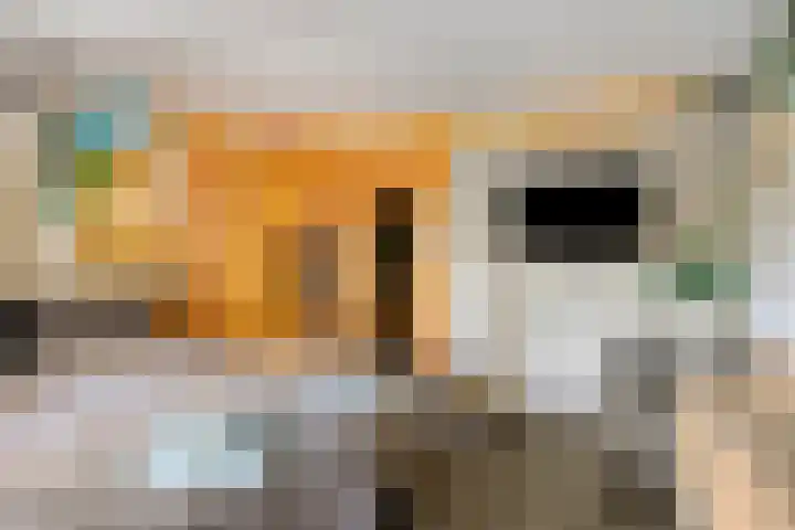 Deventerweg 115 Zutphen thumbnail 51
