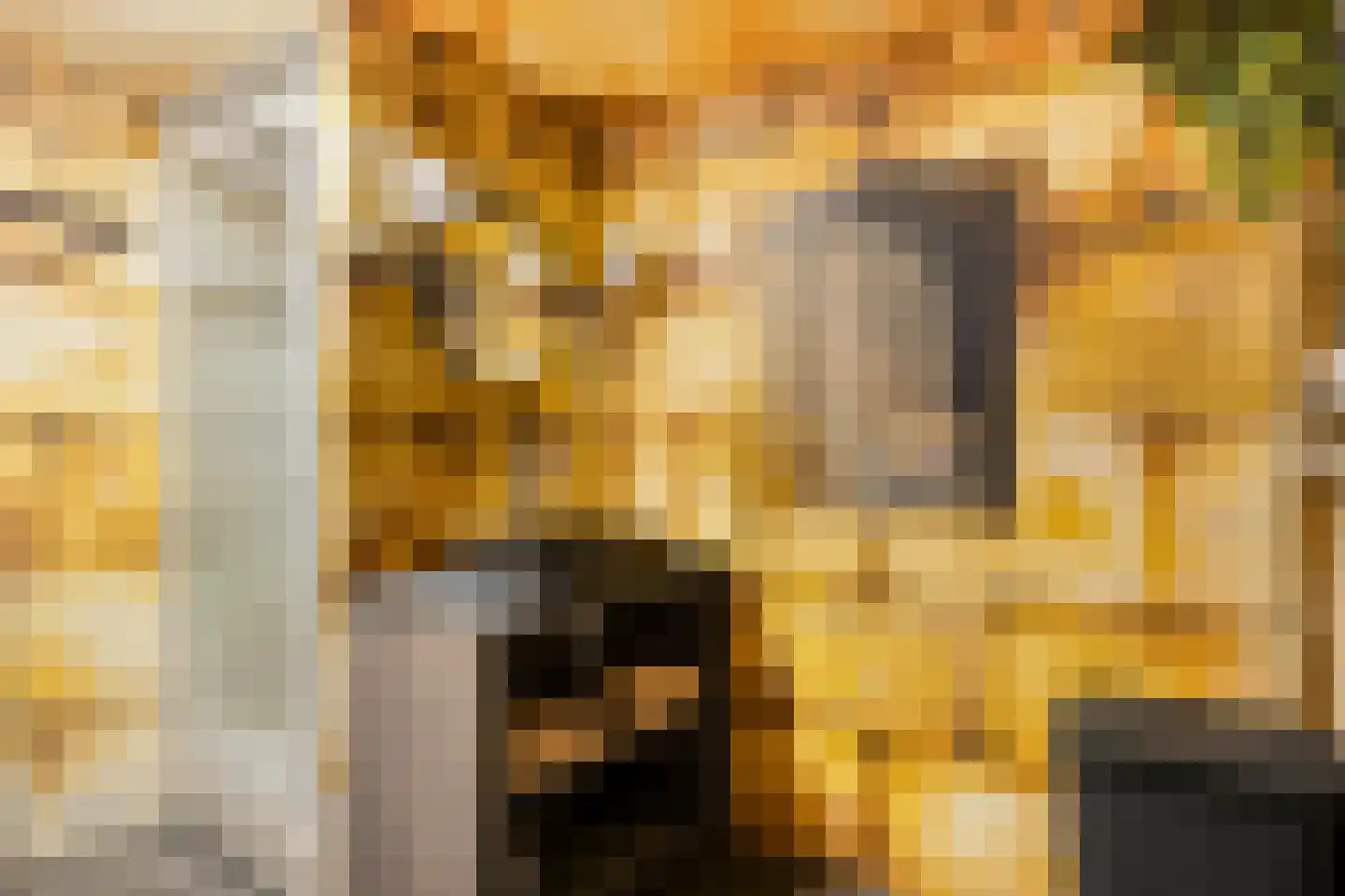 Deventerweg 115 Zutphen thumbnail 52
