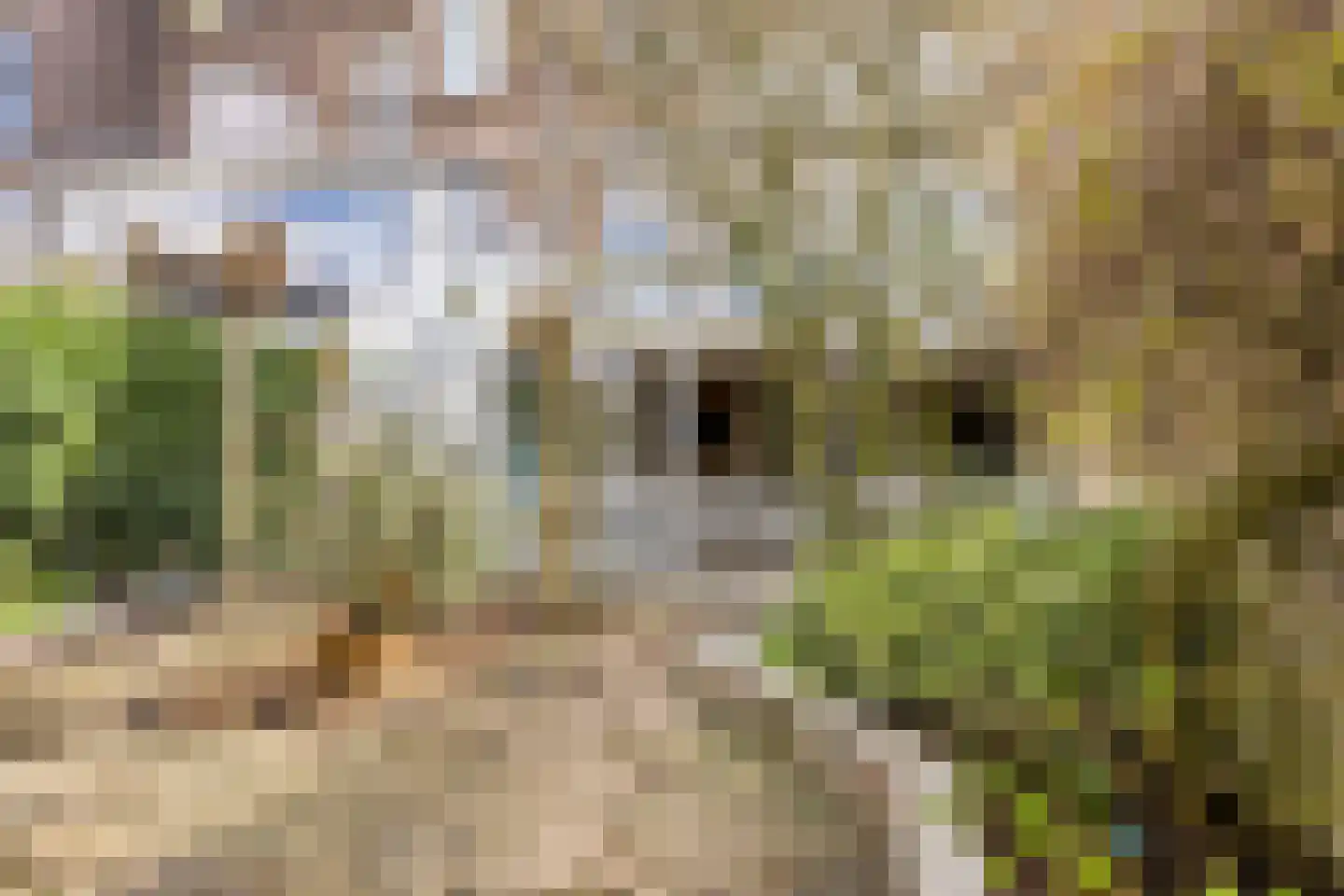 Deventerweg 115 Zutphen thumbnail 55