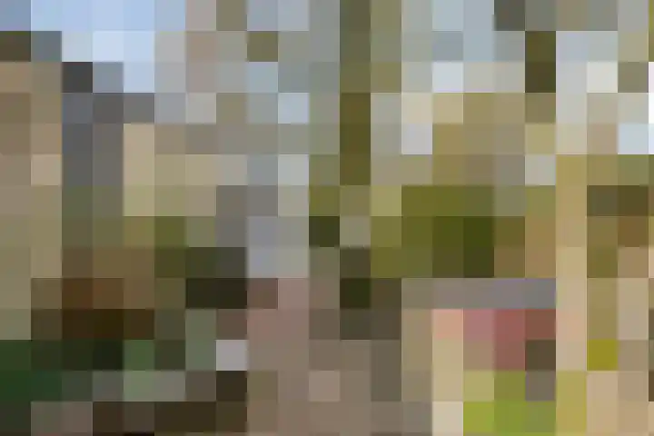Deventerweg 115 Zutphen thumbnail 56