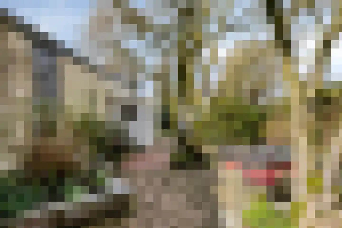 Deventerweg 115 Zutphen thumbnail 56