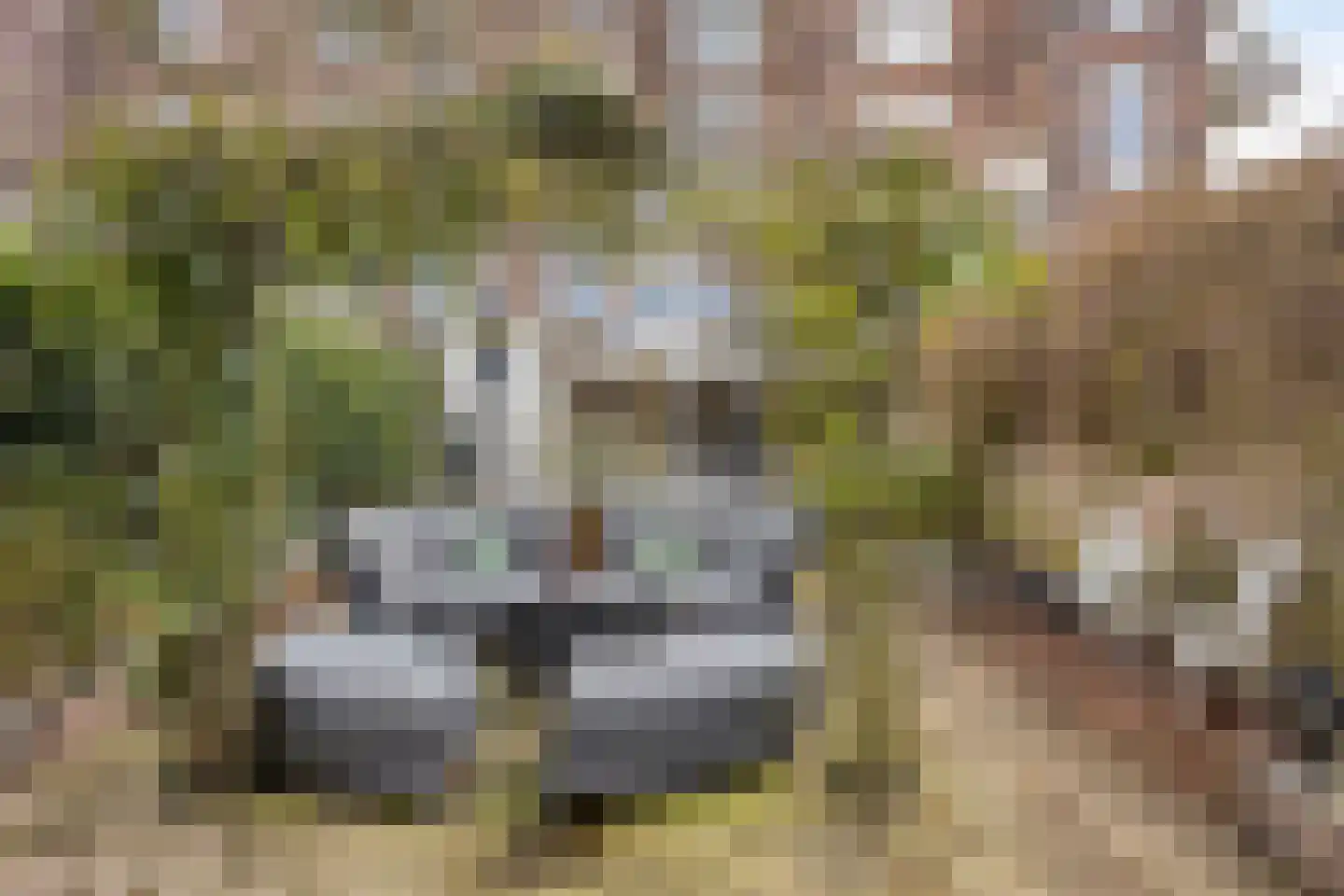 Deventerweg 115 Zutphen thumbnail 57