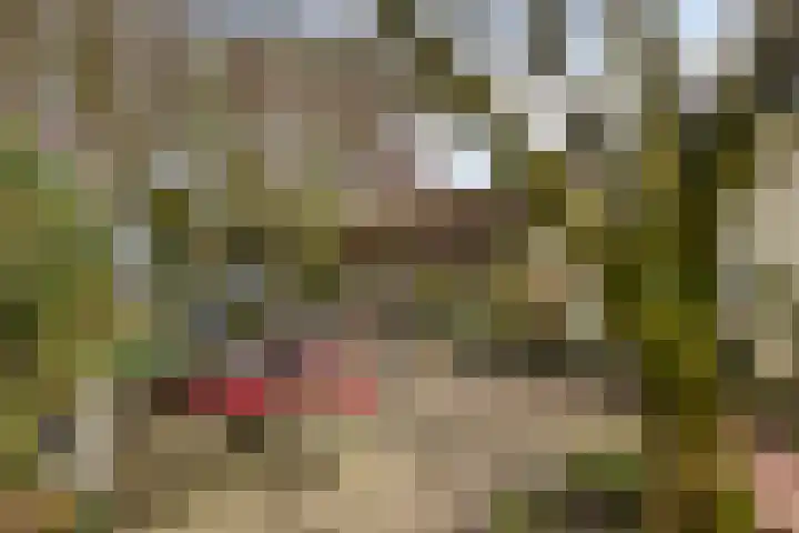 Deventerweg 115 Zutphen thumbnail 58