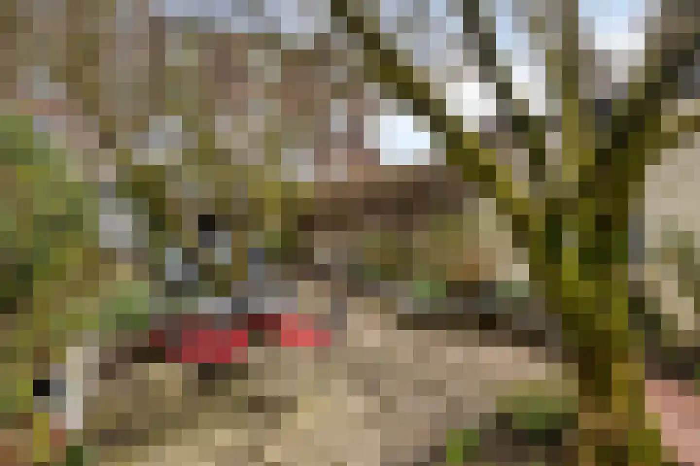 Deventerweg 115 Zutphen thumbnail 58