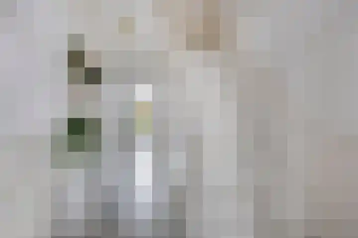 Deventerweg 115 Zutphen thumbnail 6