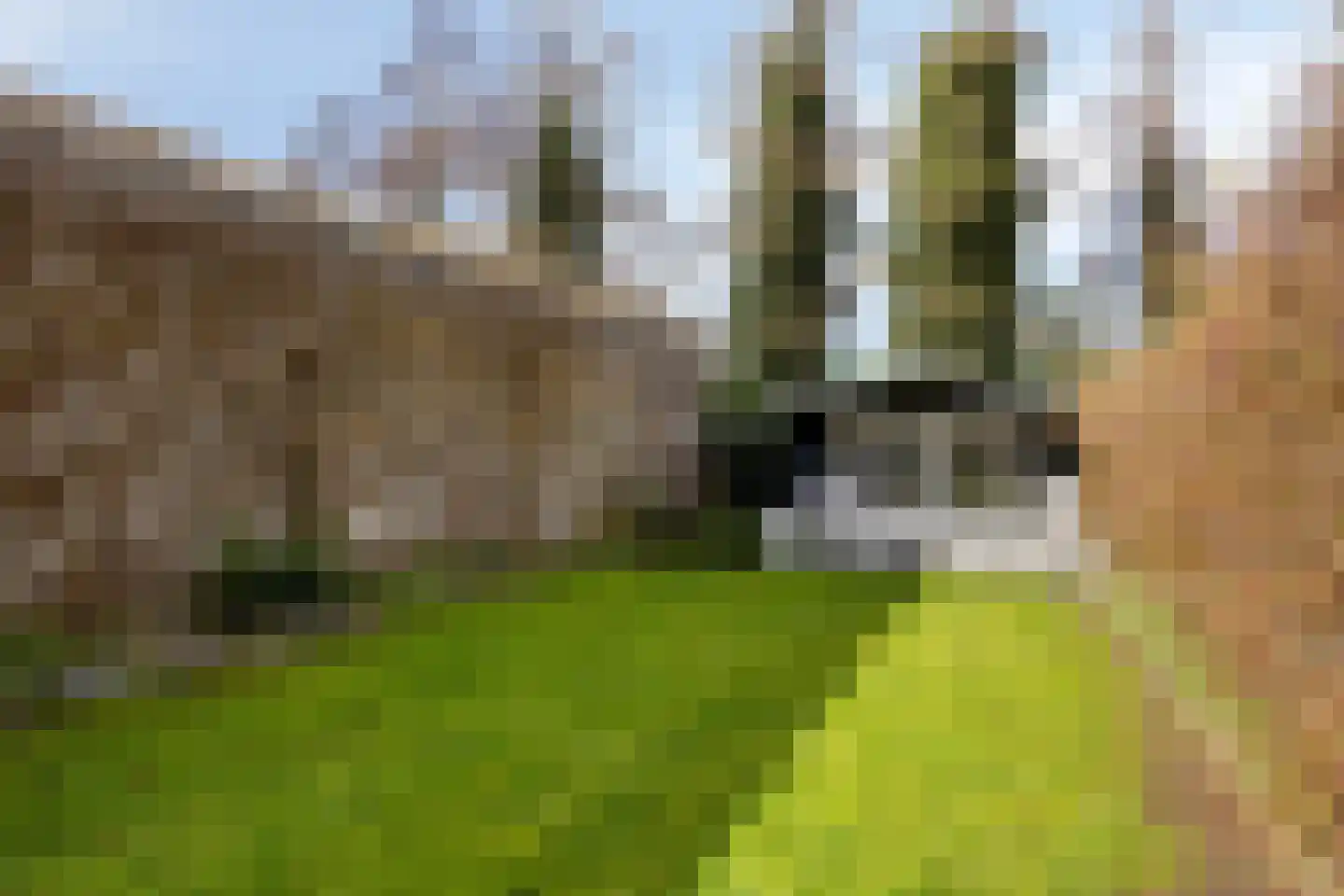 Deventerweg 115 Zutphen thumbnail 64