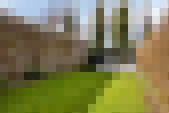 Deventerweg 115 Zutphen thumbnail 64