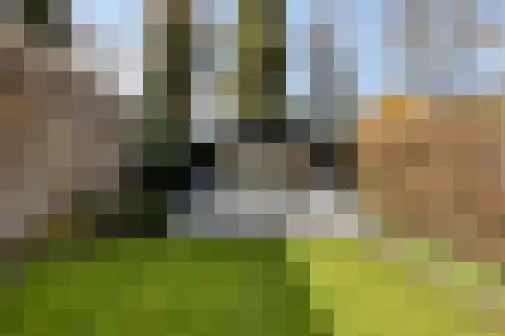 Deventerweg 115 Zutphen thumbnail 65