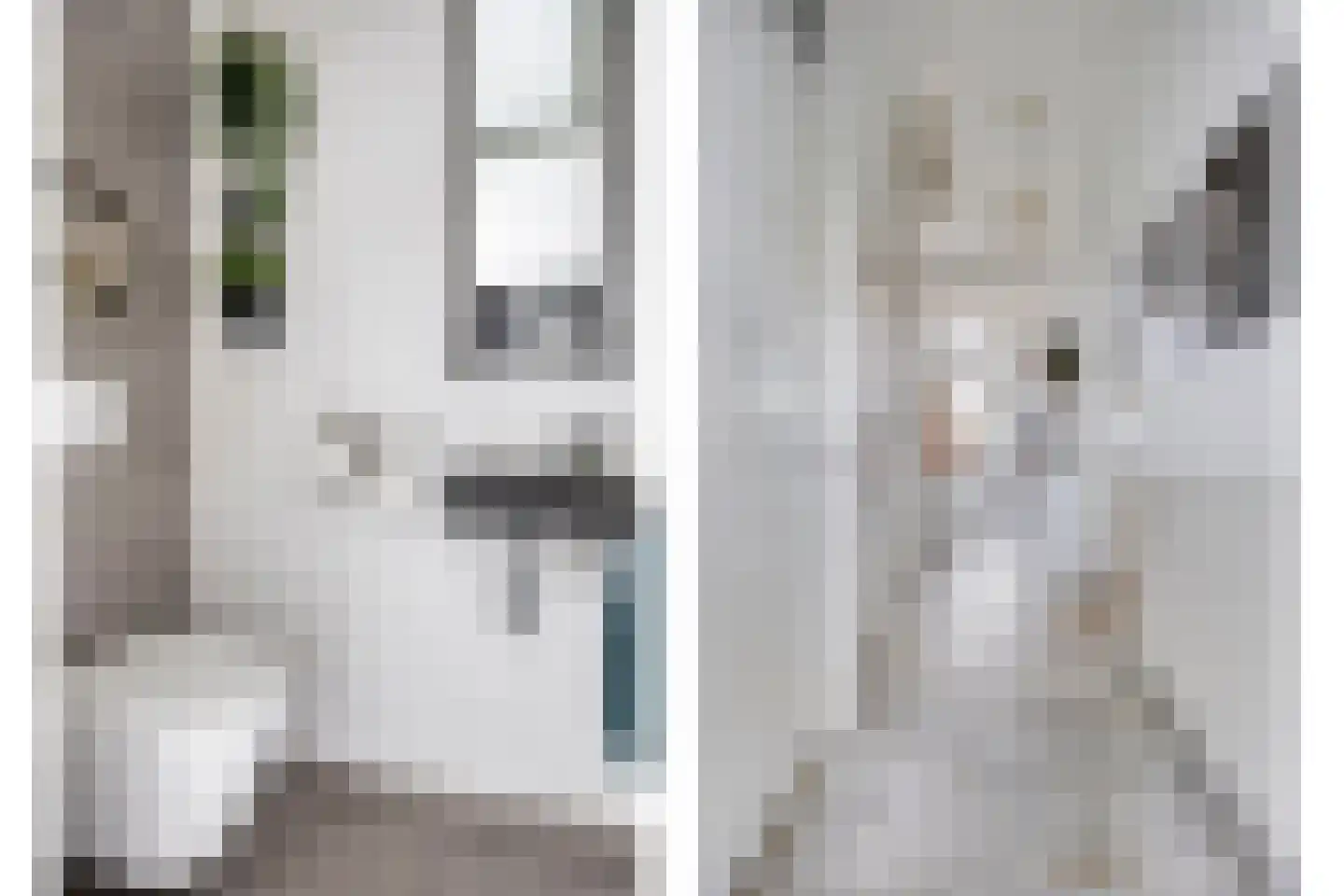 Deventerweg 115 Zutphen thumbnail 7