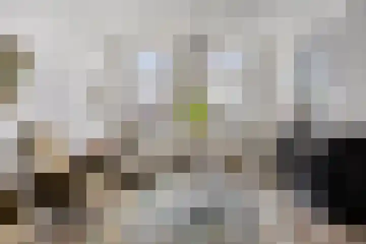 Deventerweg 115 Zutphen thumbnail 8