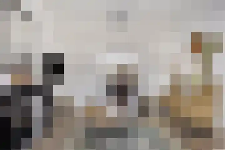 Deventerweg 115 Zutphen thumbnail 9