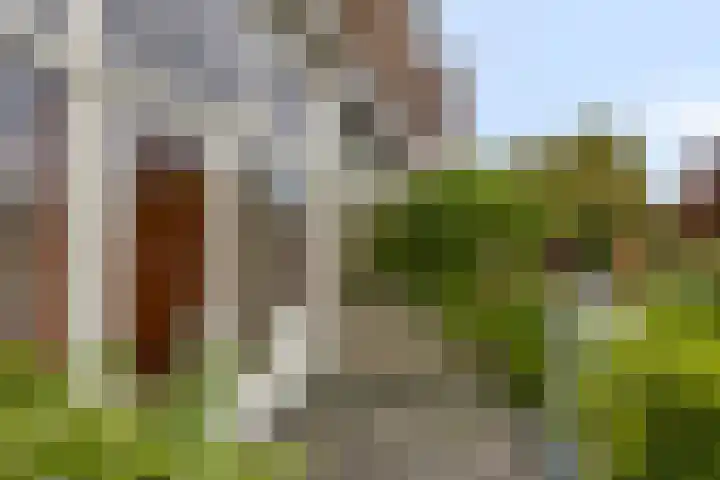 Deventerweg 119 Zutphen thumbnail 10