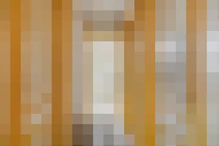Deventerweg 119 Zutphen thumbnail 12