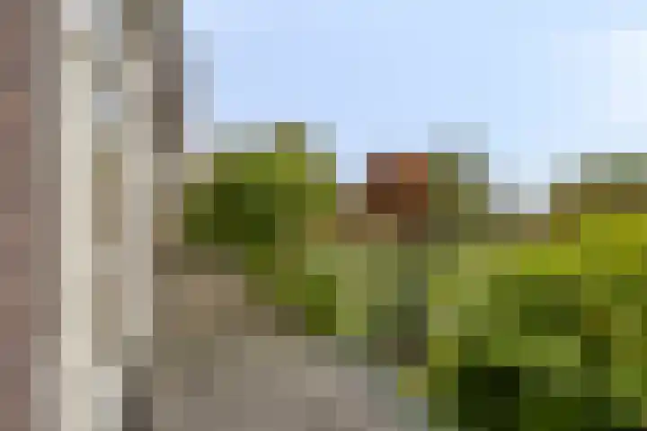 Deventerweg 119 Zutphen thumbnail 20