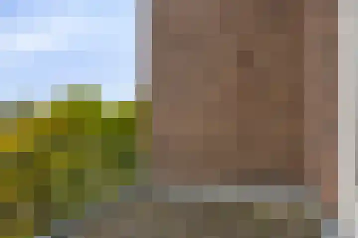 Deventerweg 119 Zutphen thumbnail 21