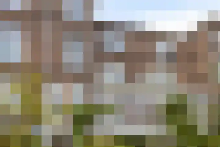 Deventerweg 119 Zutphen thumbnail 29