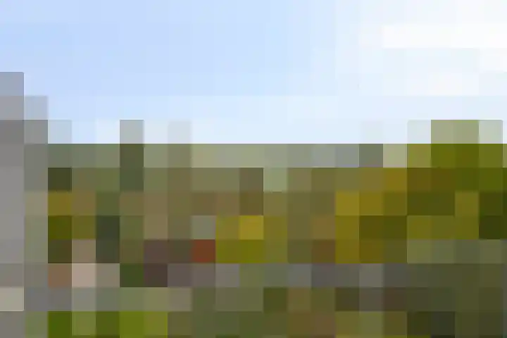 Deventerweg 119 Zutphen thumbnail 30