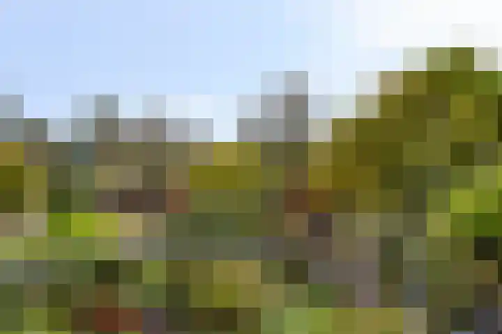 Deventerweg 119 Zutphen thumbnail 31