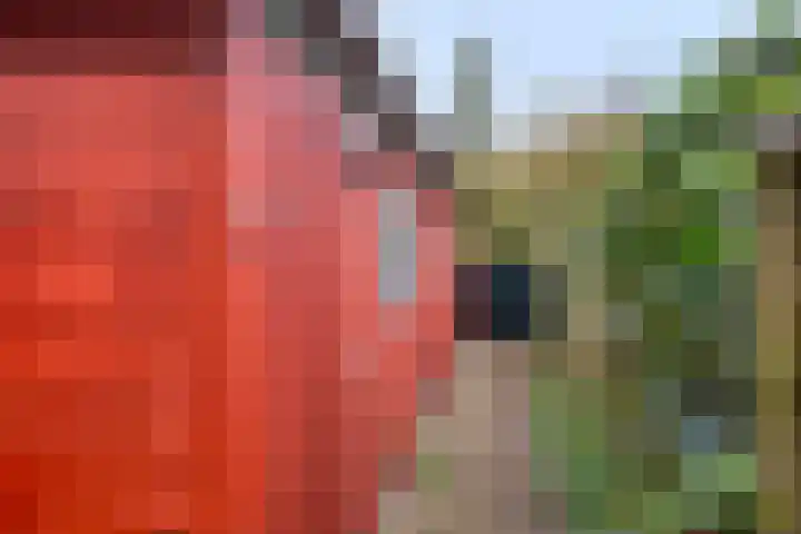 Deventerweg 119 Zutphen thumbnail 32