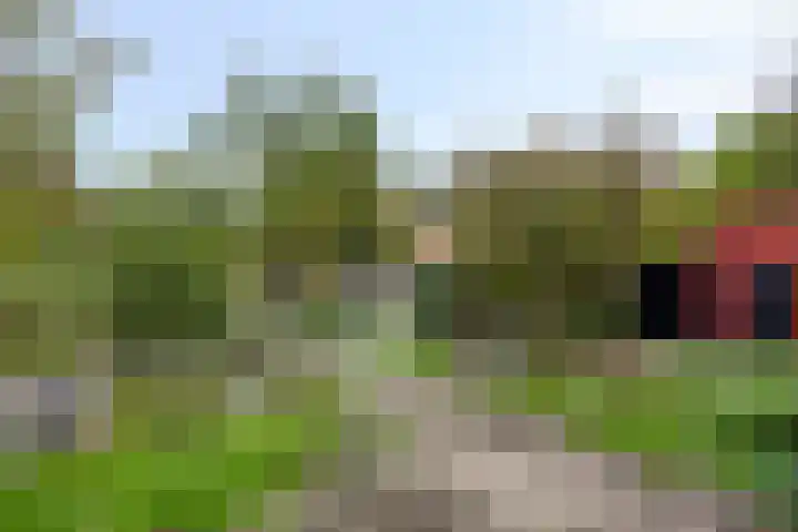 Deventerweg 119 Zutphen thumbnail 33