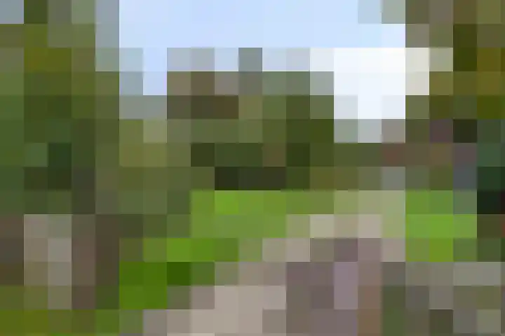 Deventerweg 119 Zutphen thumbnail 34