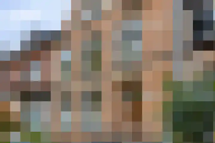 Deventerweg 119 Zutphen thumbnail 36