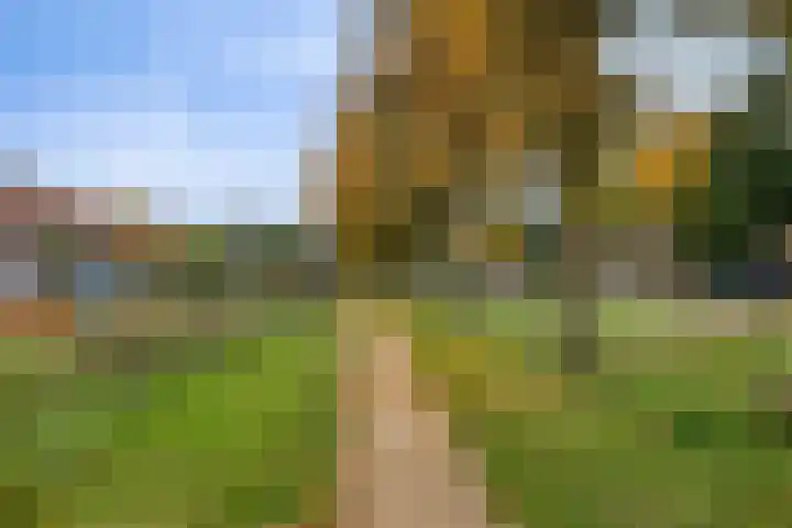 Deventerweg 119 Zutphen thumbnail 38