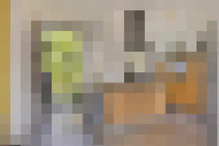 Deventerweg 12 A Bathmen thumbnail 12