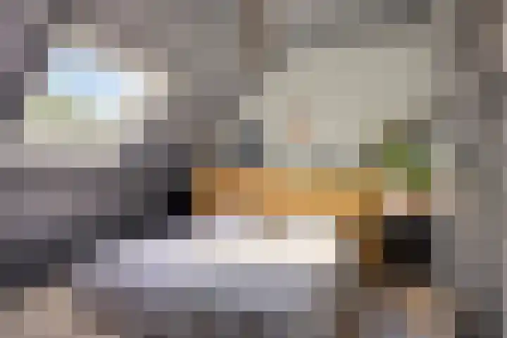 Deventerweg 12 A Bathmen thumbnail 19