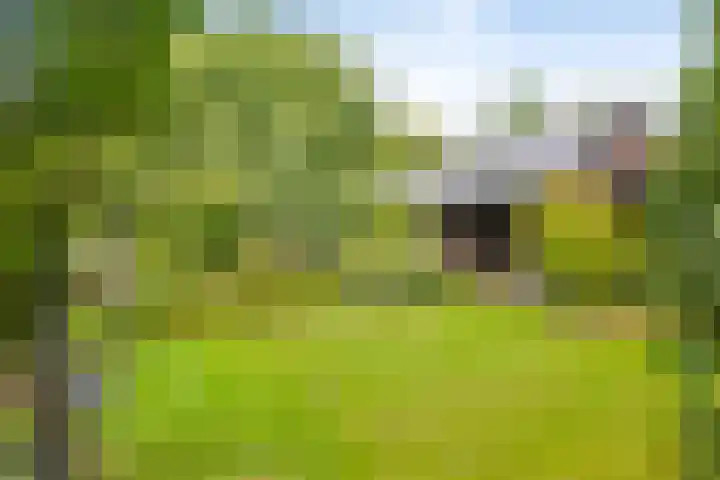 Deventerweg 12 A Bathmen thumbnail 29