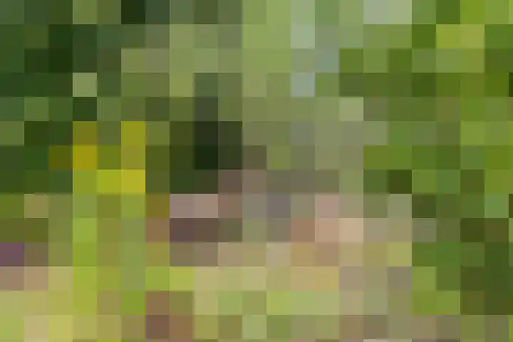 Deventerweg 12 A Bathmen thumbnail 33