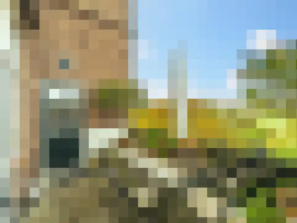 Deventerweg 125 a Zutphen thumbnail 15
