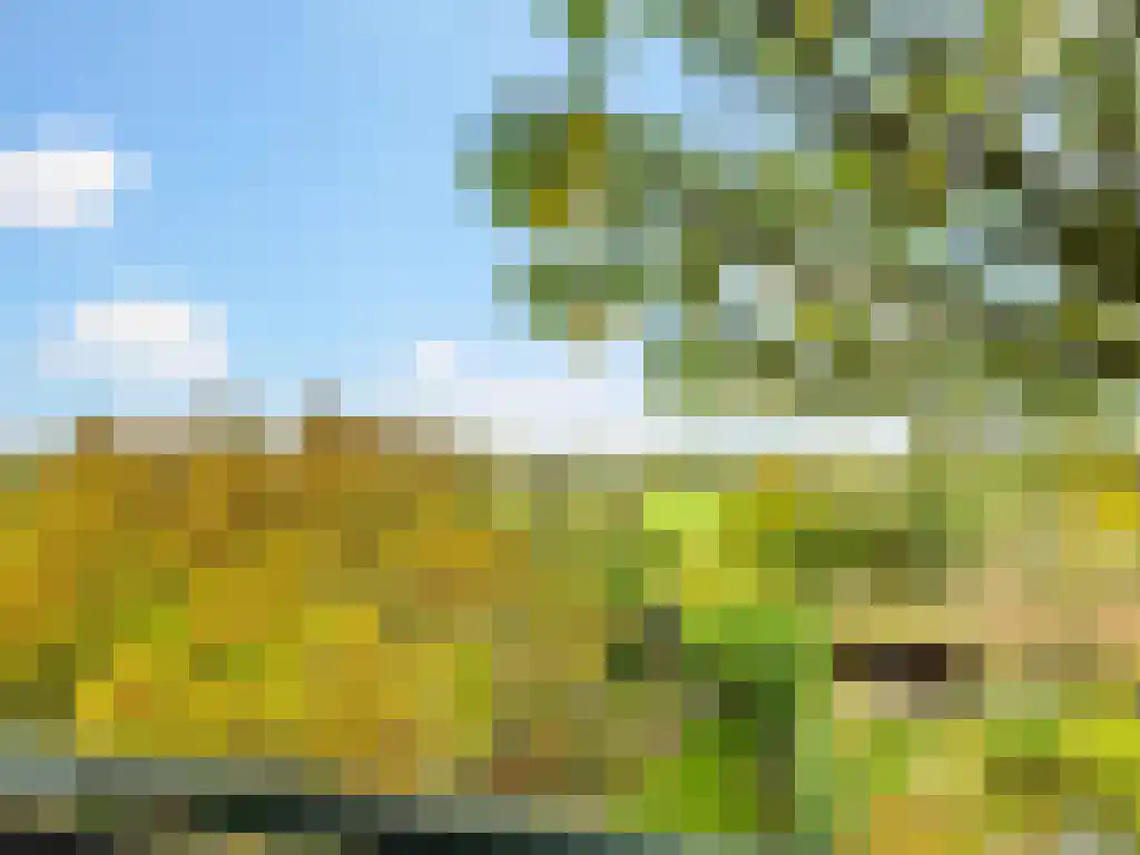 Deventerweg 125 a Zutphen thumbnail 16