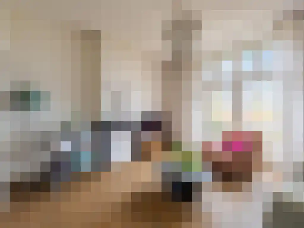 Deventerweg 125 a Zutphen thumbnail 4