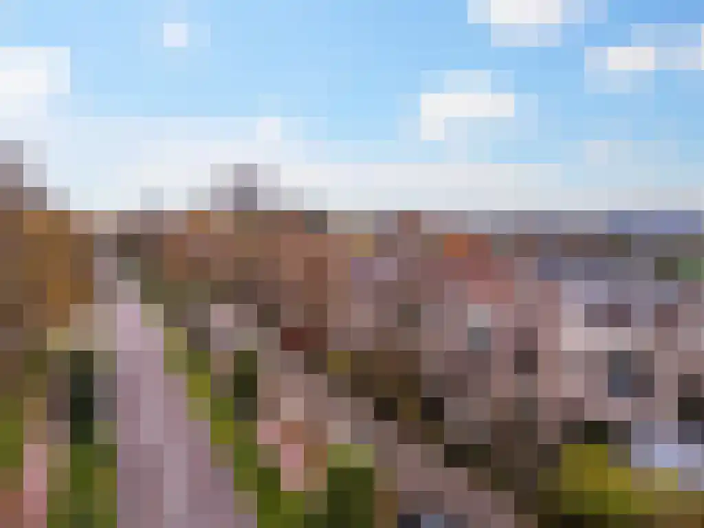 Deventerweg 125 a Zutphen thumbnail 50