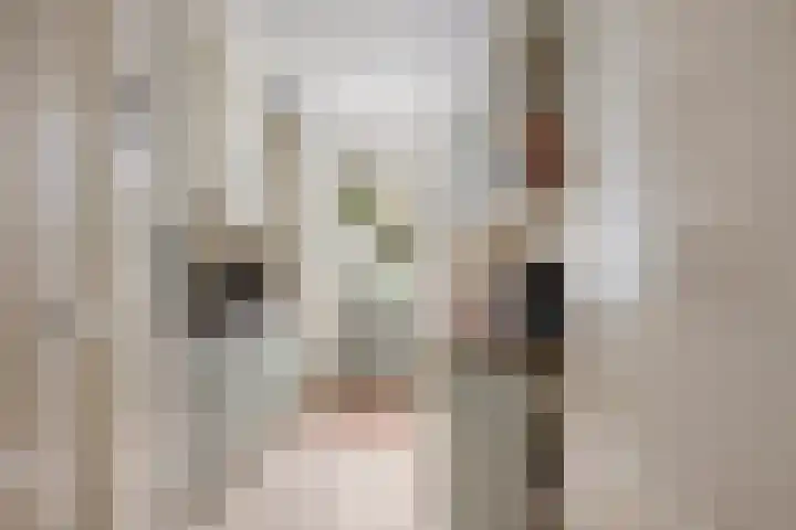 Deventerweg 140 Zutphen thumbnail 10