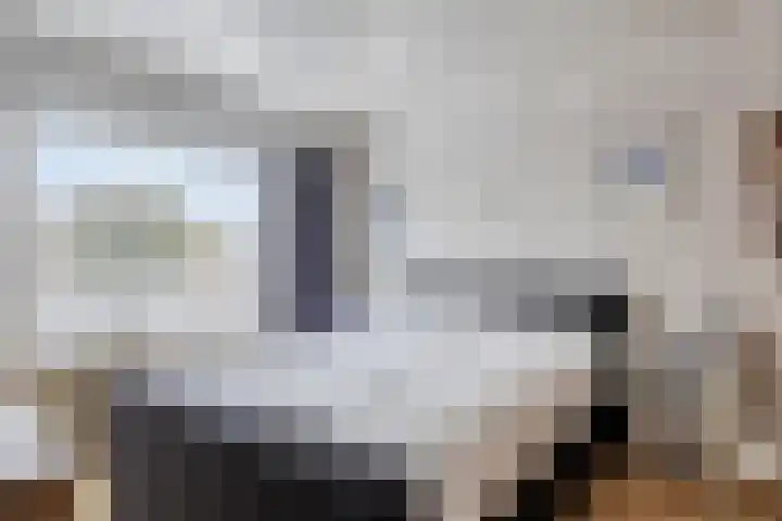 Deventerweg 140 Zutphen thumbnail 17