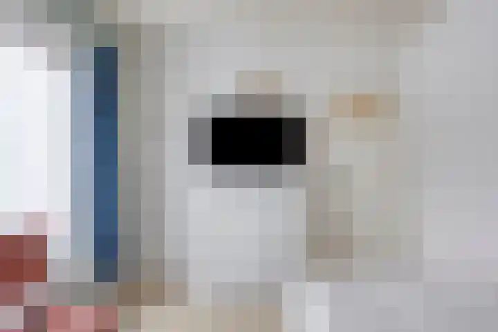Deventerweg 140 Zutphen thumbnail 23