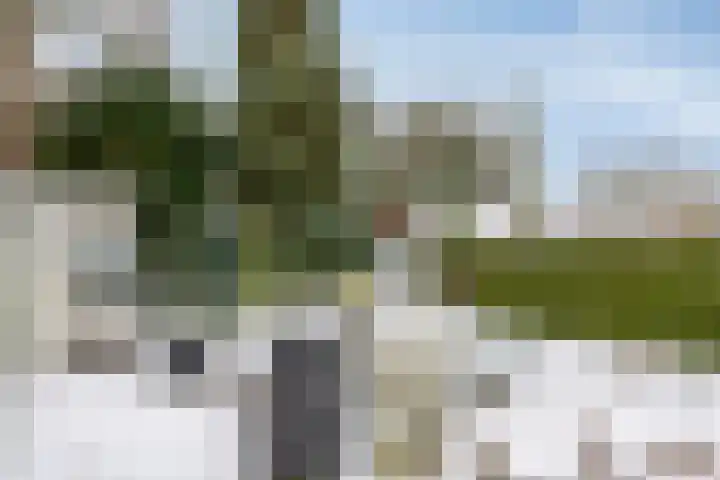 Deventerweg 140 Zutphen thumbnail 36
