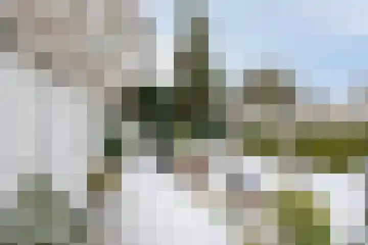 Deventerweg 140 Zutphen thumbnail 37