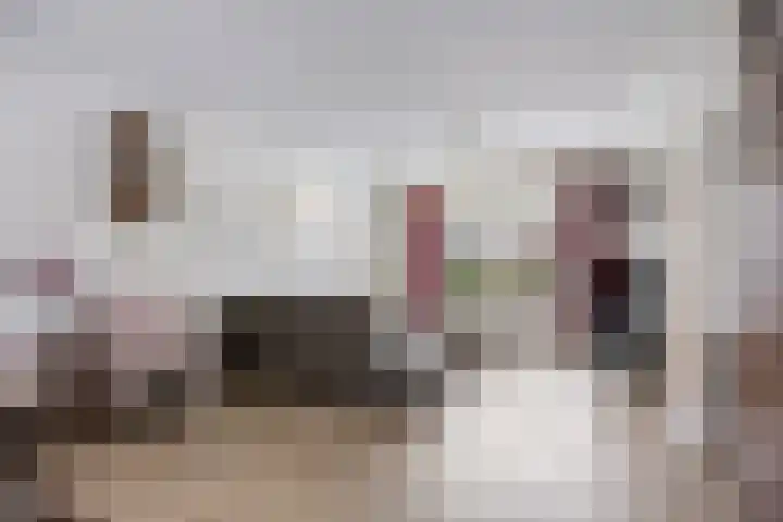 Deventerweg 140 Zutphen thumbnail 6