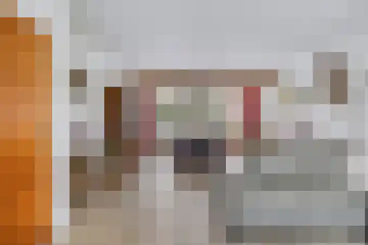 Deventerweg 140 Zutphen thumbnail 7