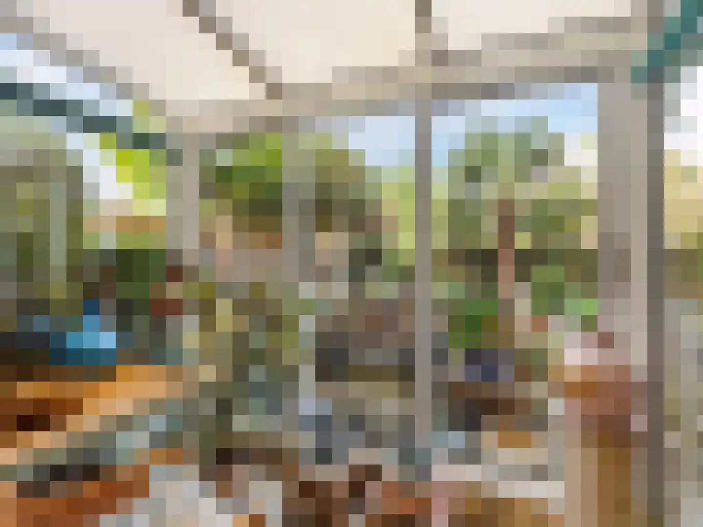 Deventerweg 183 Zutphen thumbnail 18