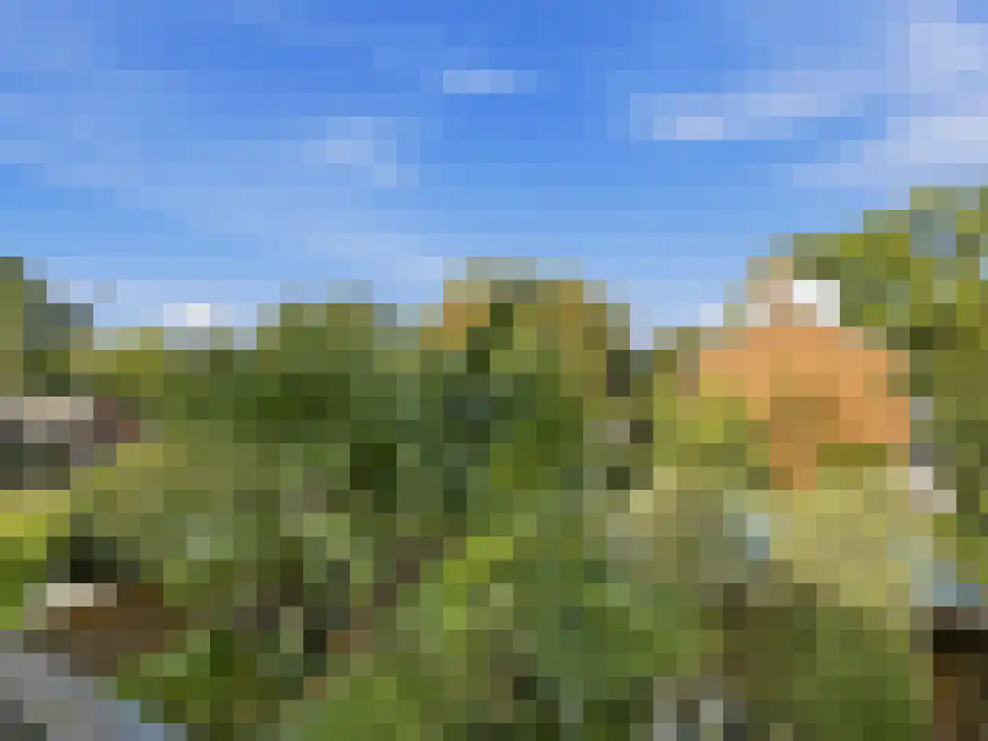 Deventerweg 183 Zutphen thumbnail 31