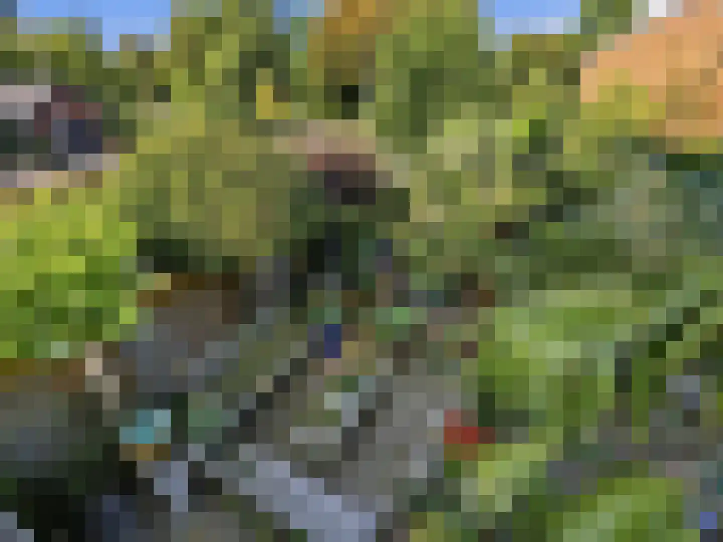 Deventerweg 183 Zutphen thumbnail 32