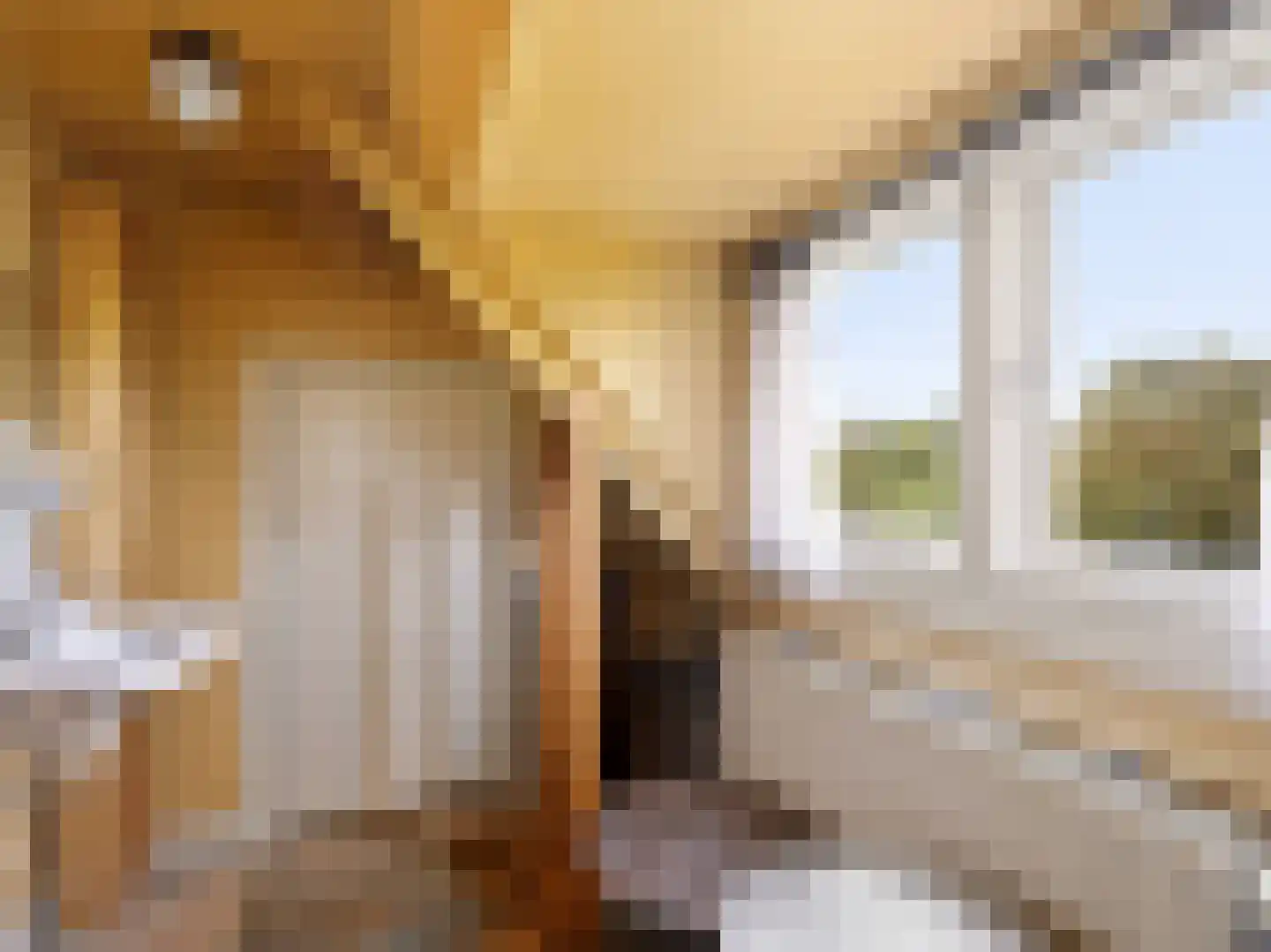 Deventerweg 183 Zutphen thumbnail 34