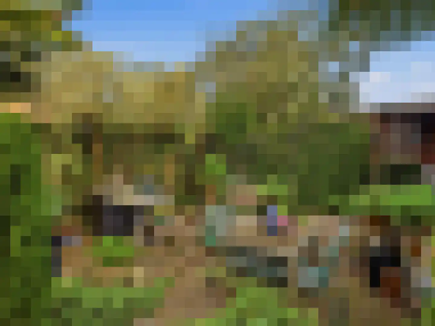 Deventerweg 183 Zutphen thumbnail 43