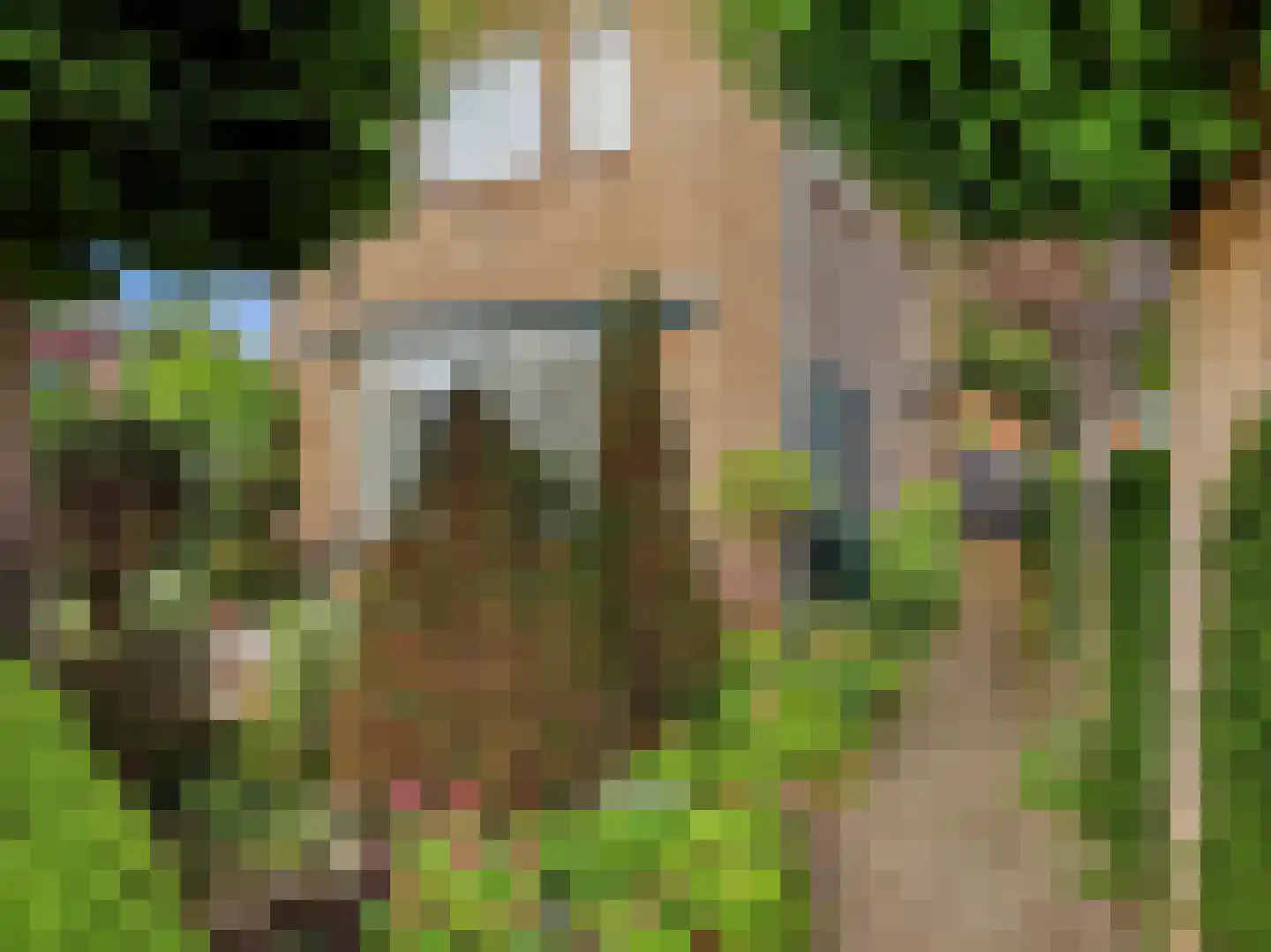 Deventerweg 183 Zutphen thumbnail 48