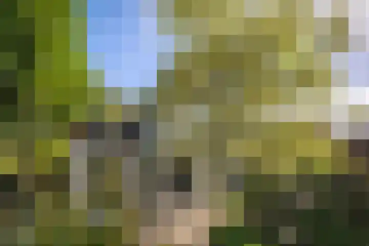 Deventerweg 19 Gorssel